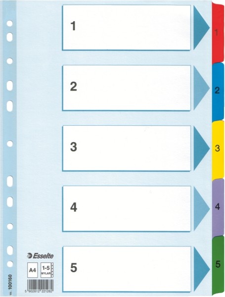 Przekładki Esselte mylar z kartonu, A4 kolor wielobarwny | espryciarze.pl |Zamów online!