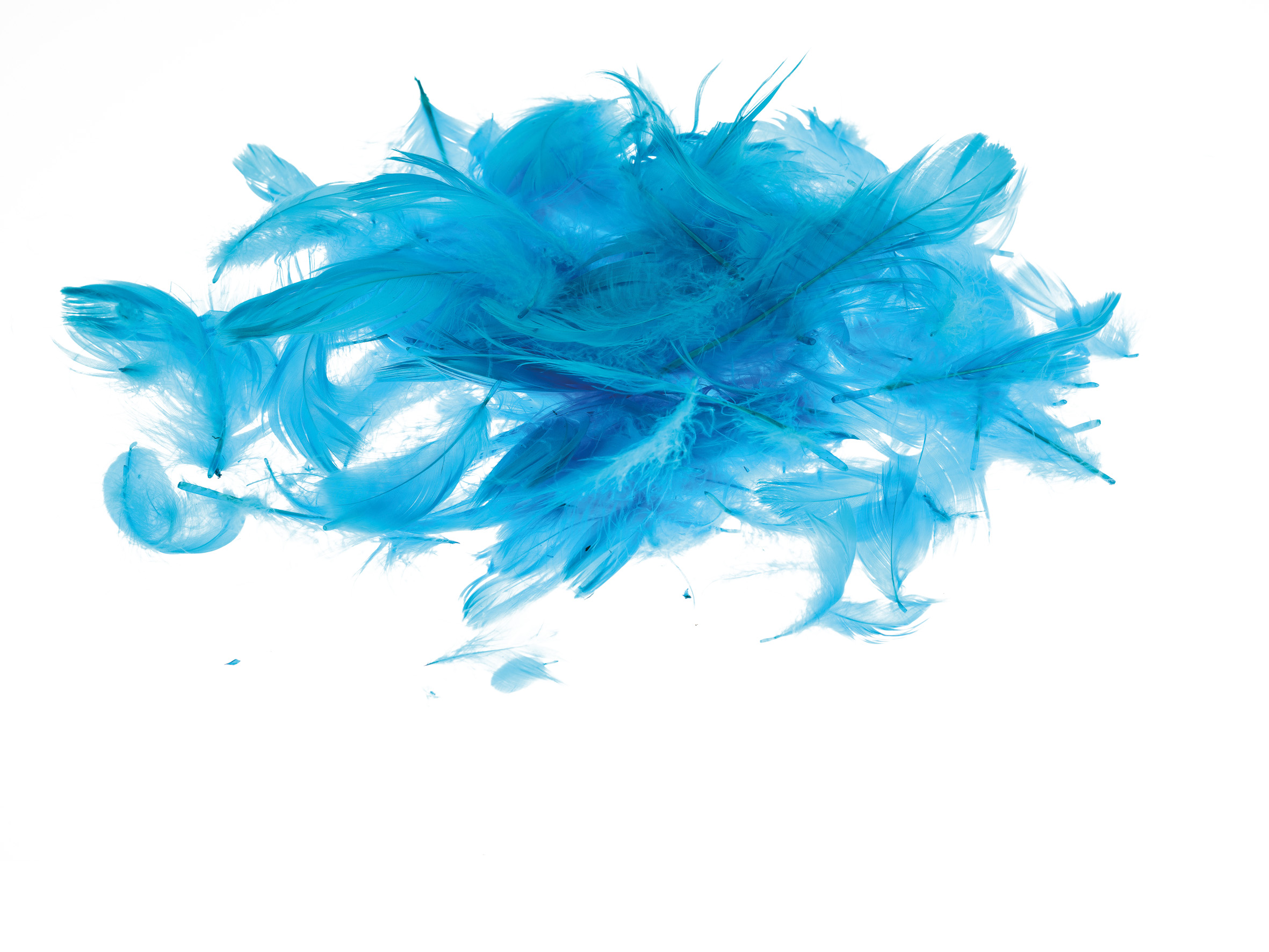 Piórka Brewis 7 g Morskie do biura | espryciarze.pl |Zgarnij ofertę!