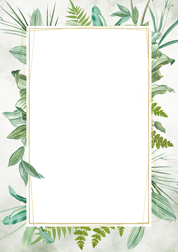 Dyplom botanic 170 g/m2 zestaw 25 sztuk. | espryciarze.pl |Działaj teraz!