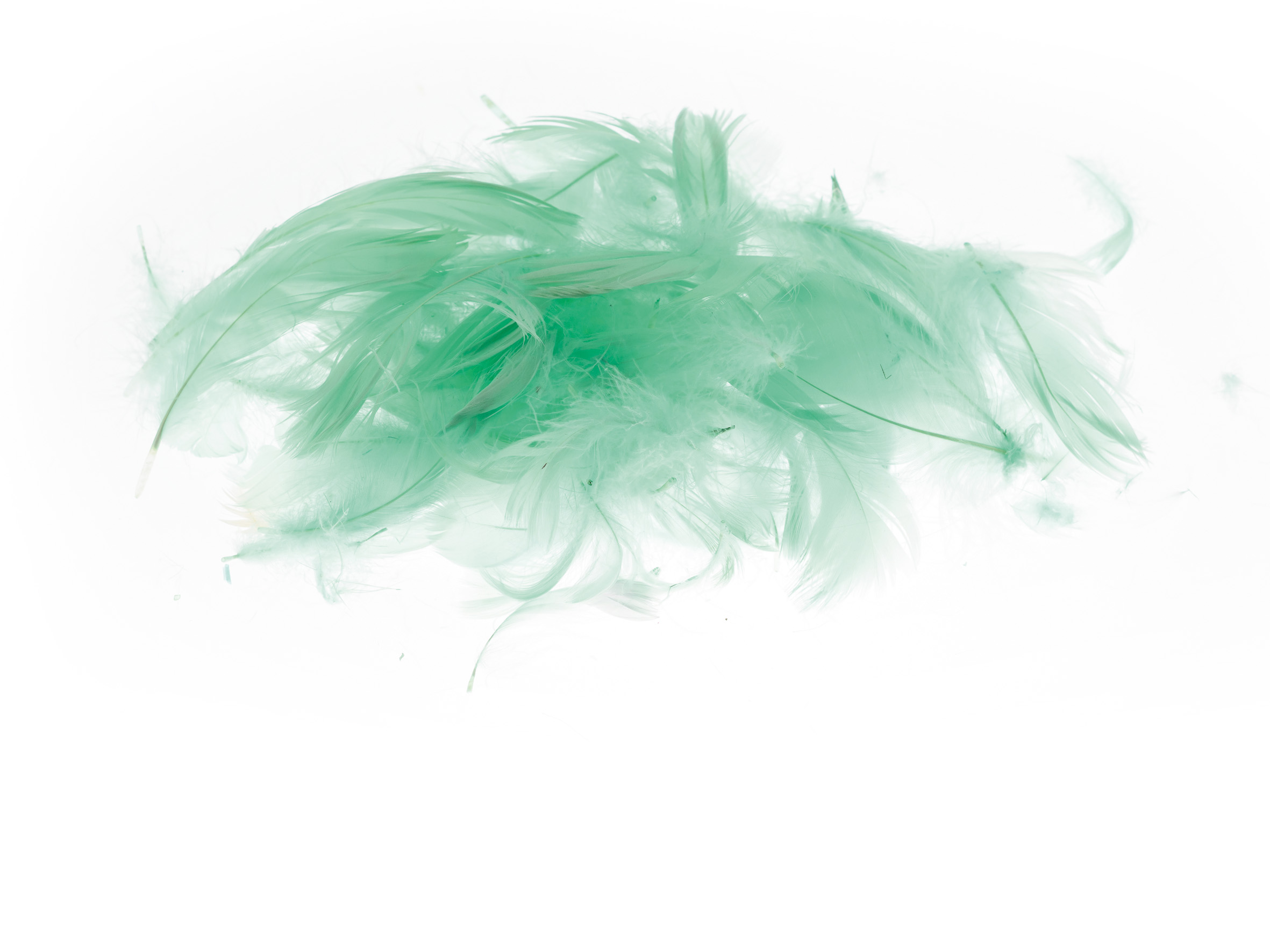 Piórka Brewis 7 g pistacjowe do biura | espryciarze.pl |Złap promocję!