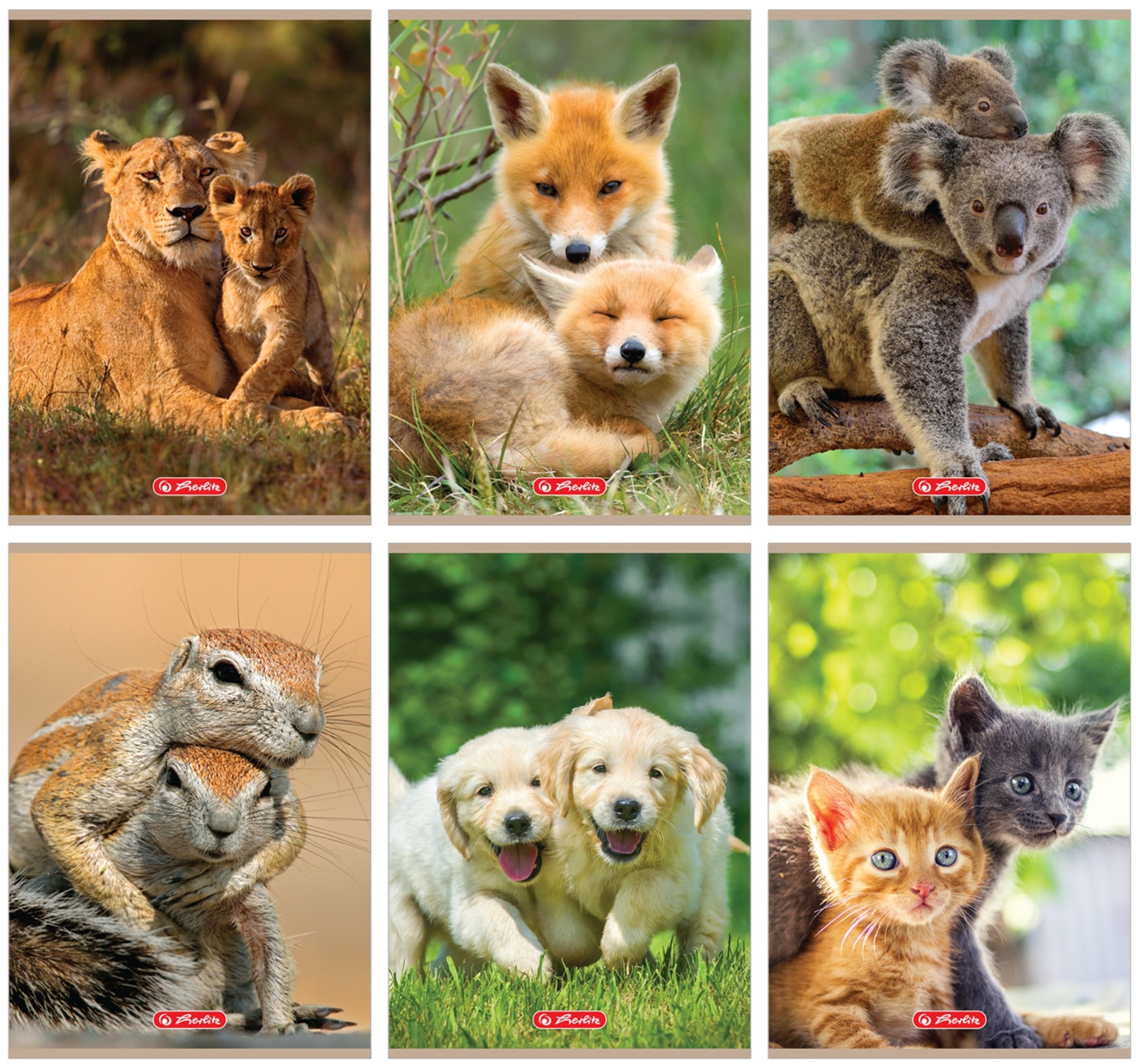 Zeszyt A5 32k linia podwójna animals | espryciarze.pl | Sprawdź naszą propozycję