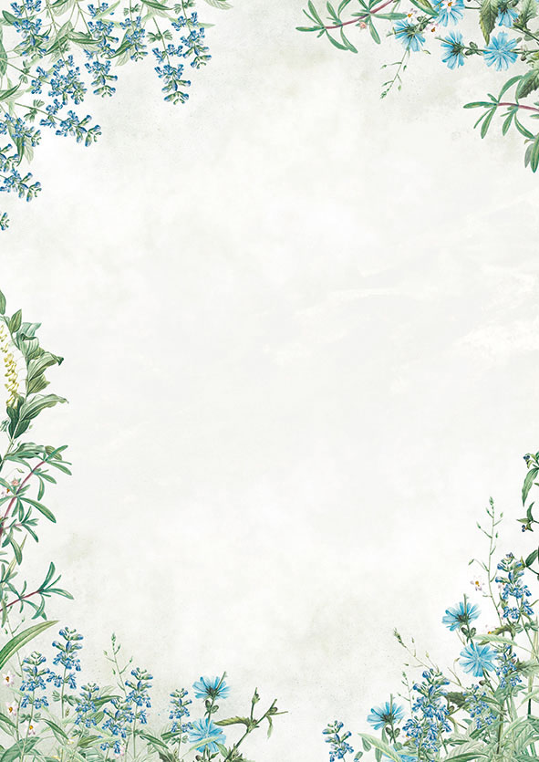 Dyplom Galeria Papieru A4 fiori blue 100 g zestaw 50 sztuk. | espryciarze.pl |Kup w super cenie!