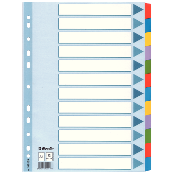 Przekładki Esselte mylar z kartonu, A4 kolor wielobarwny | espryciarze.pl |Działaj teraz!