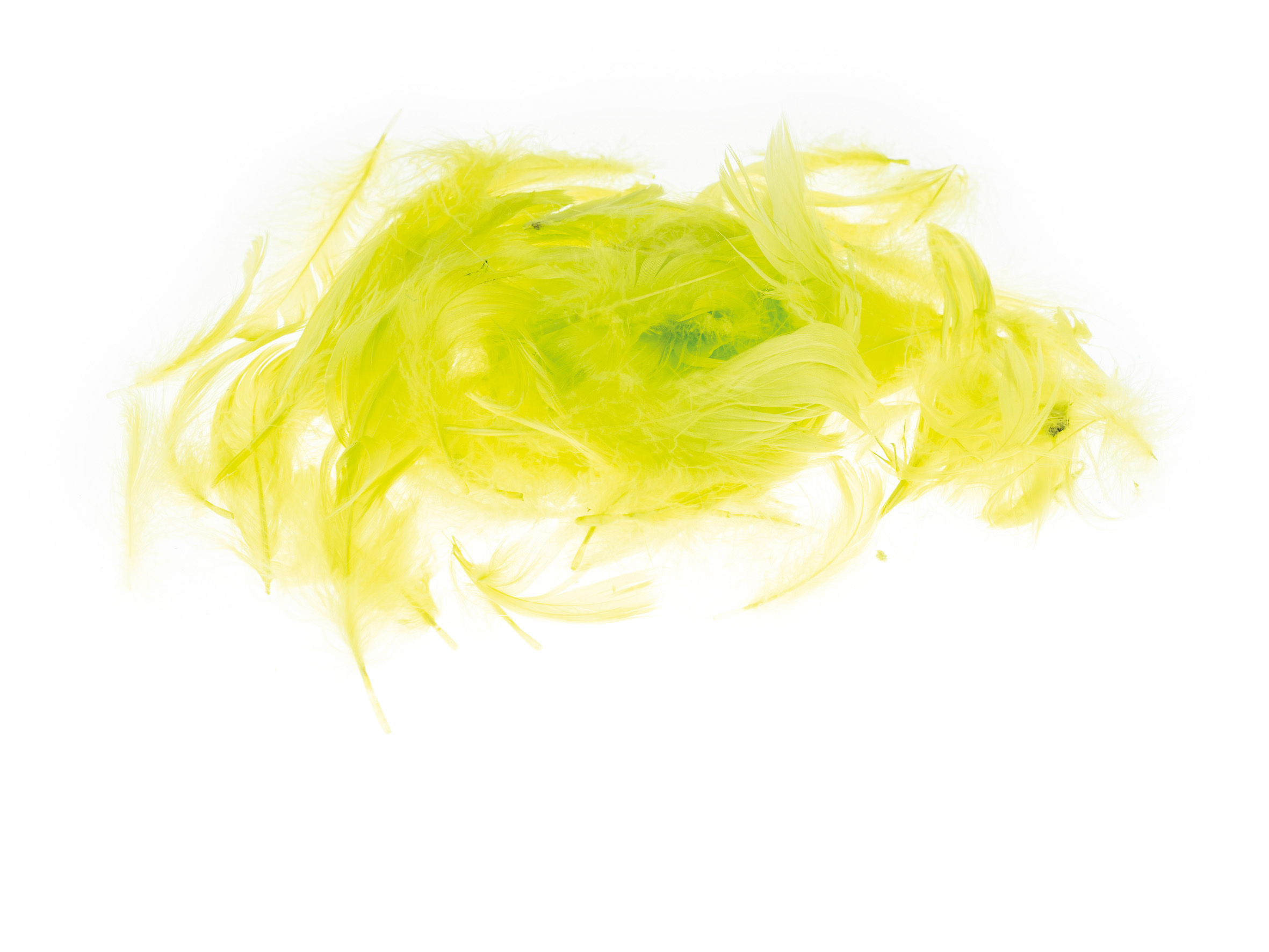 Piórka Brewis 7 g oliwkowe jasne | espryciarze.pl |Kliknij i kup!