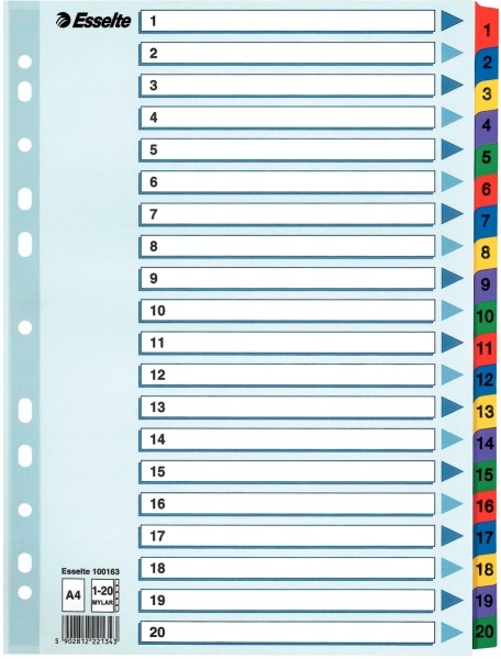 Przekładki Esselte mylar z kartonu, A4 kolor wielobarwny | espryciarze.pl |Kup teraz!