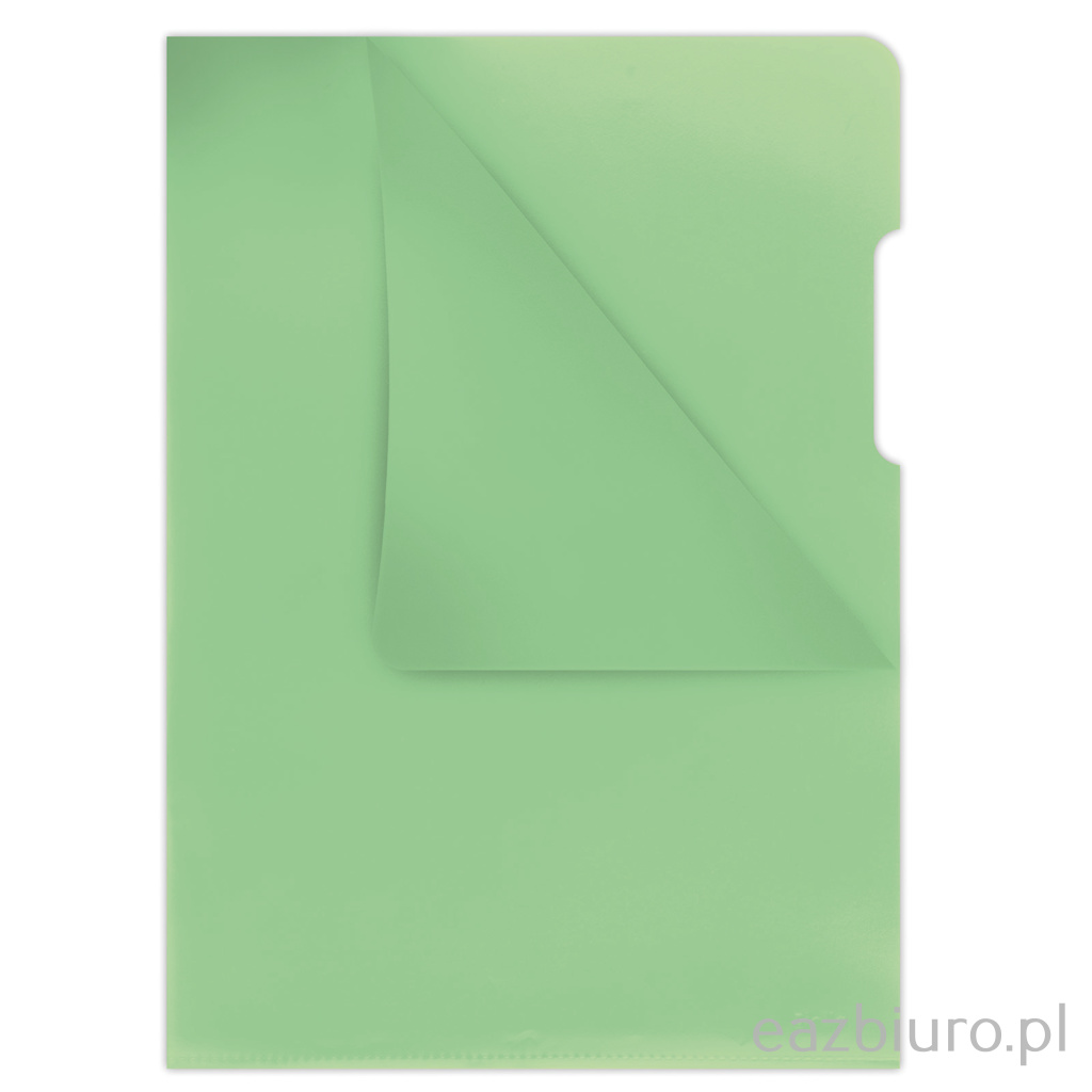 Obwoluta A4 sztywna zielona Donau | espryciarze.pl |Zgarnij ofertę!