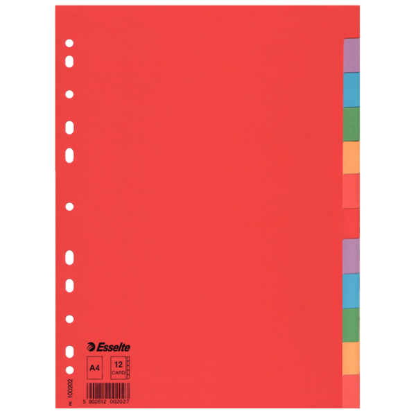 Przekładki Esselte z kolorowego kartonu, A4, wielobarwne | espryciarze.pl |Kup od ręki!
