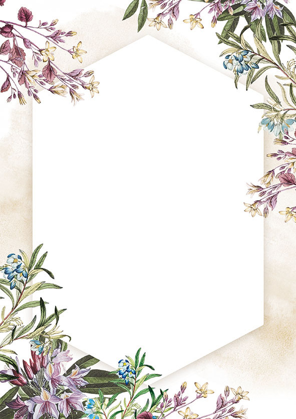 Dyplom Galeria Papieru A4 umbria zestaw 25 arkuszy 170 g | espryciarze.pl |Zgarnij ofertę!