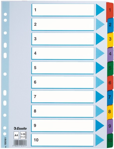 Przekładki Esselte mylar z kartonu, A4 kolor wielobarwny | espryciarze.pl |Zamów online!