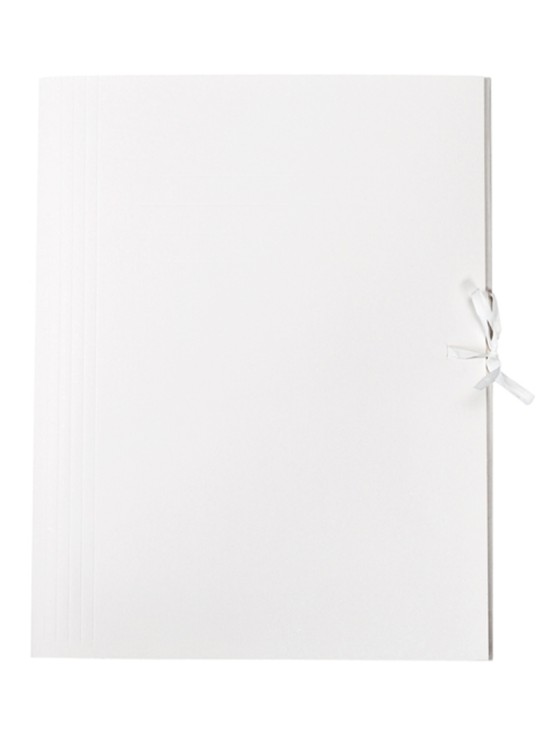 Teczka wiązana archiwizacyjna Bigo 320 x 250 mm | espryciarze.pl |Kliknij i kup!