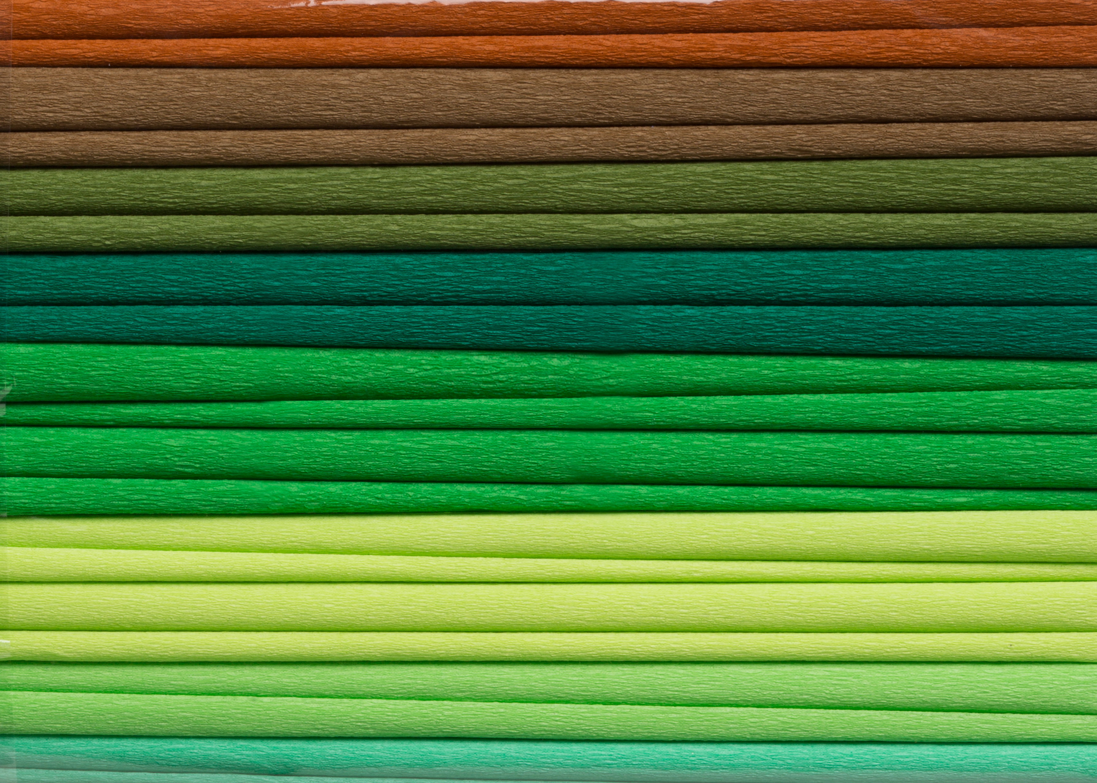 Bibuła marszczona 25x200 cm, zielony mix 8 kolorów, 10 rolek | espryciarze.pl |Zamów dziś!