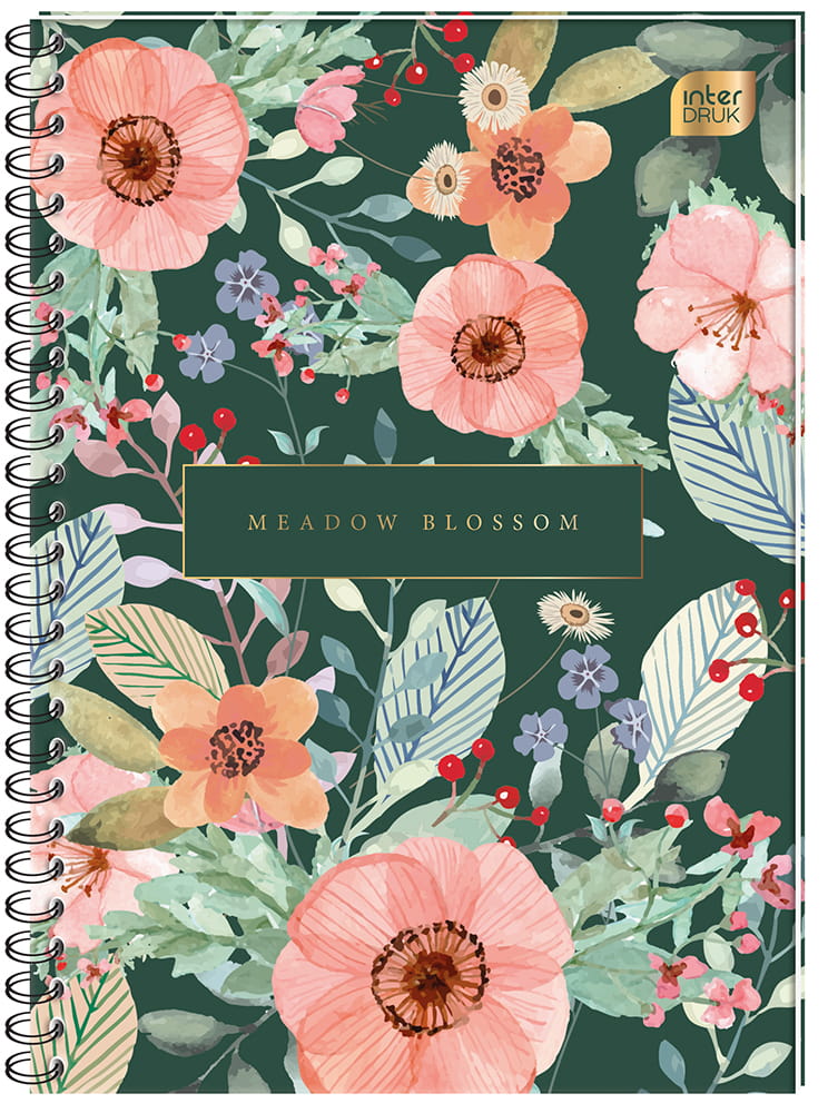 Kolozeszyt B5 160k kolbrzeg kratka | espryciarze.pl |Kliknij i kup!