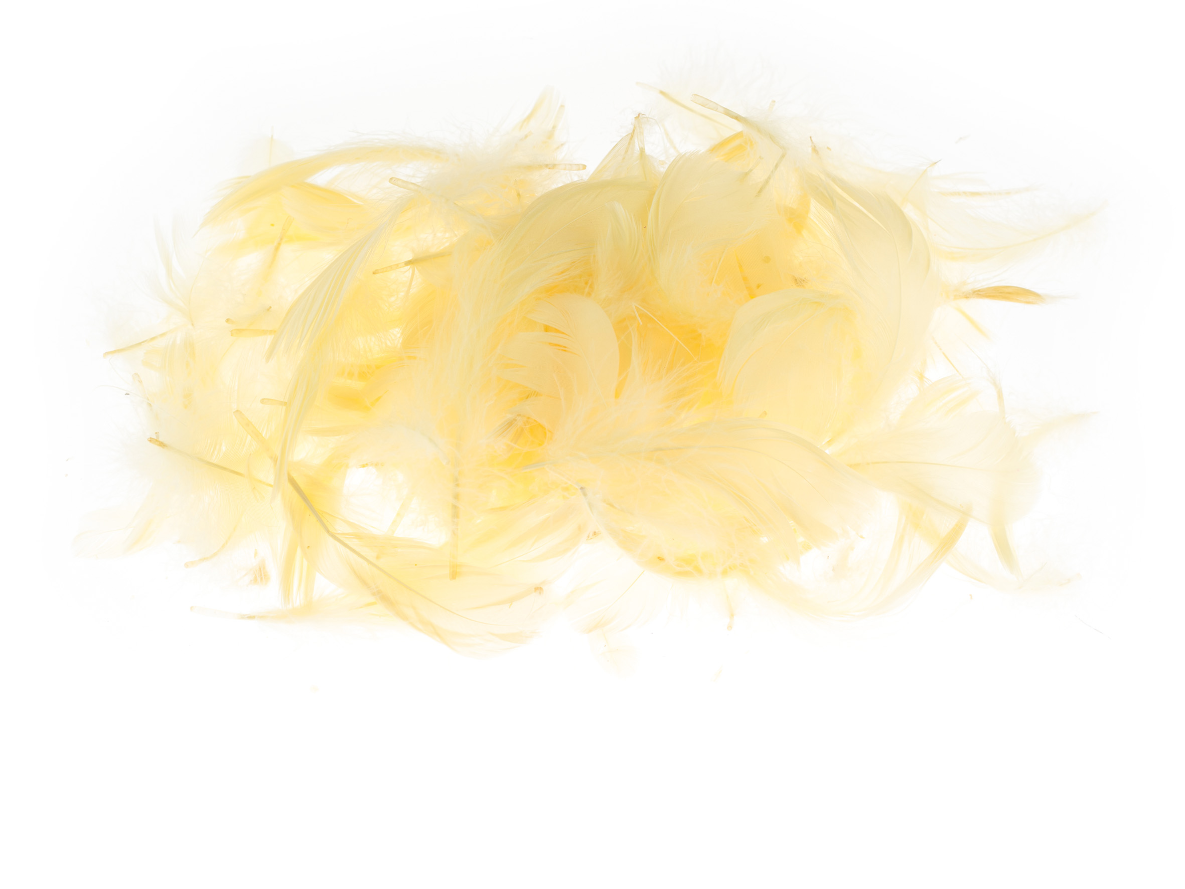 Piórka Brewis 7 g pomarańczowe jasne | espryciarze.pl |Nie zwlekaj!