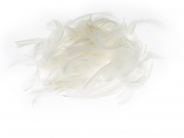 Kolorowe piórka Brewis białe do biura | espryciarze.pl |Skorzystaj teraz!