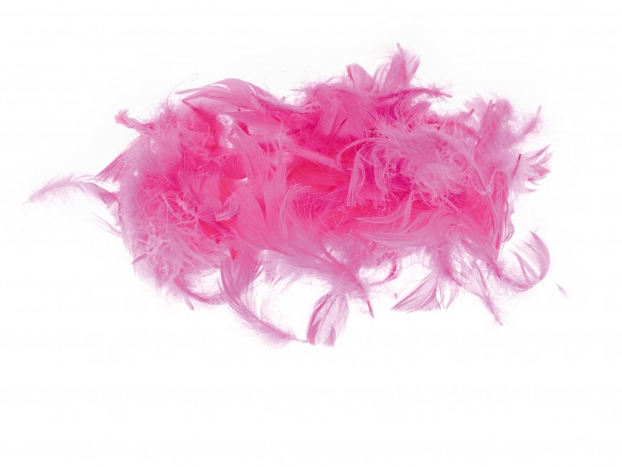 Kolorowe piórka Brewis różowy do biura | espryciarze.pl |Weź najlepszą cenę!