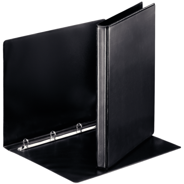 Segregator Esselte ofertowy panorama, ekonom. A4 4rr 16, grzbiet 30 mm, czarny | espryciarze.pl |Weź najlepszą cenę!