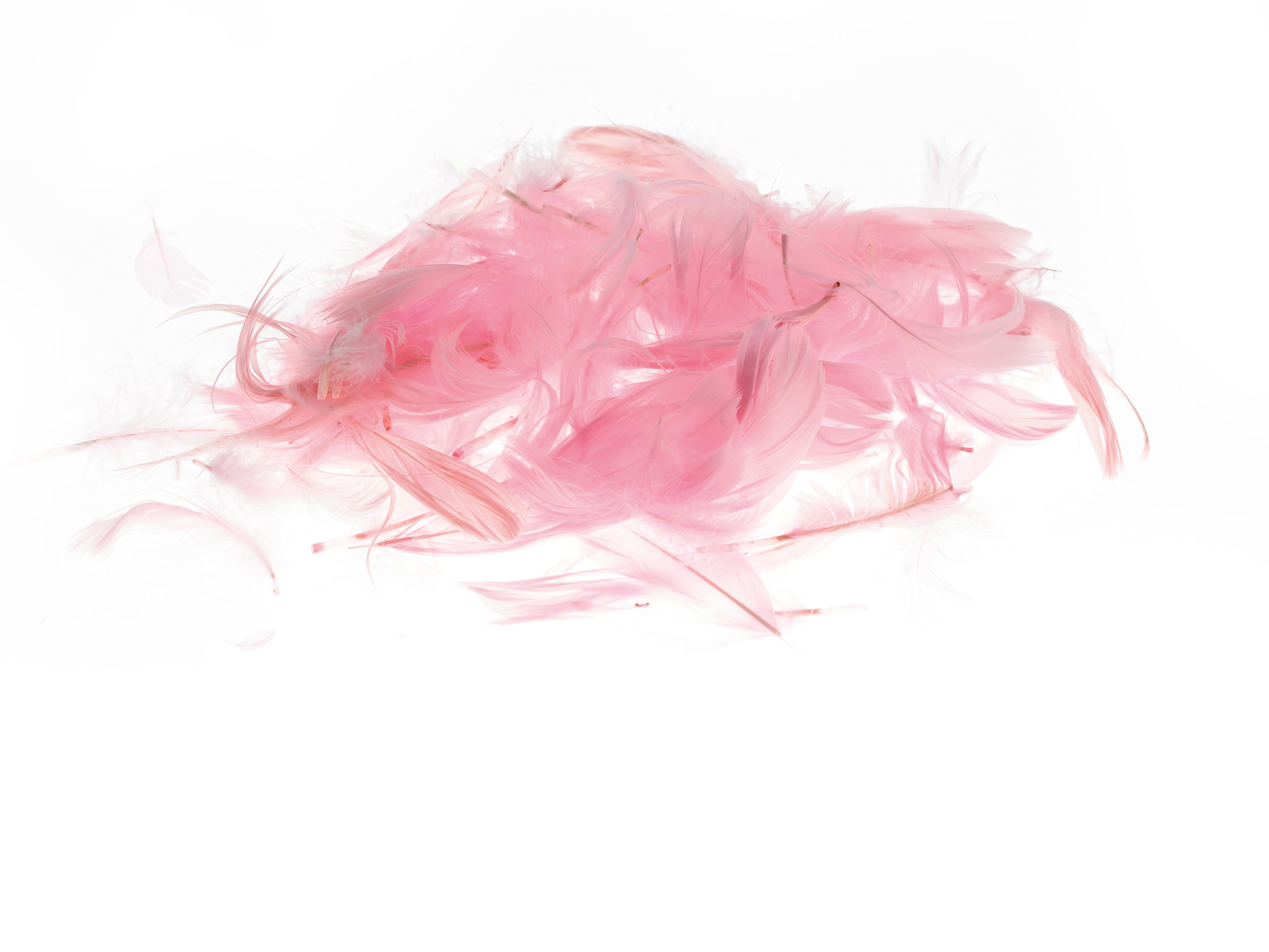 Piórka Brewis 7 g różowe jasne | espryciarze.pl |Kup taniej!