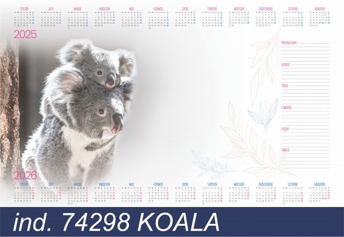 Biuwar z listwą 30 kartkowy Koala Typograf | espryciarze.pl |Weź najlepszą cenę!