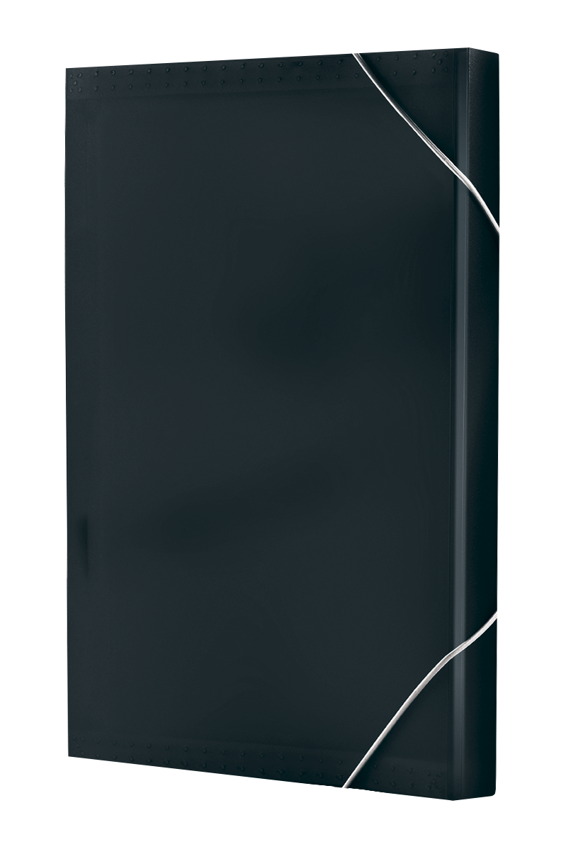 Teczka harmonijkowa z gumką narożną 13 przegródek czarna | espryciarze.pl |Weź najlepszą cenę!