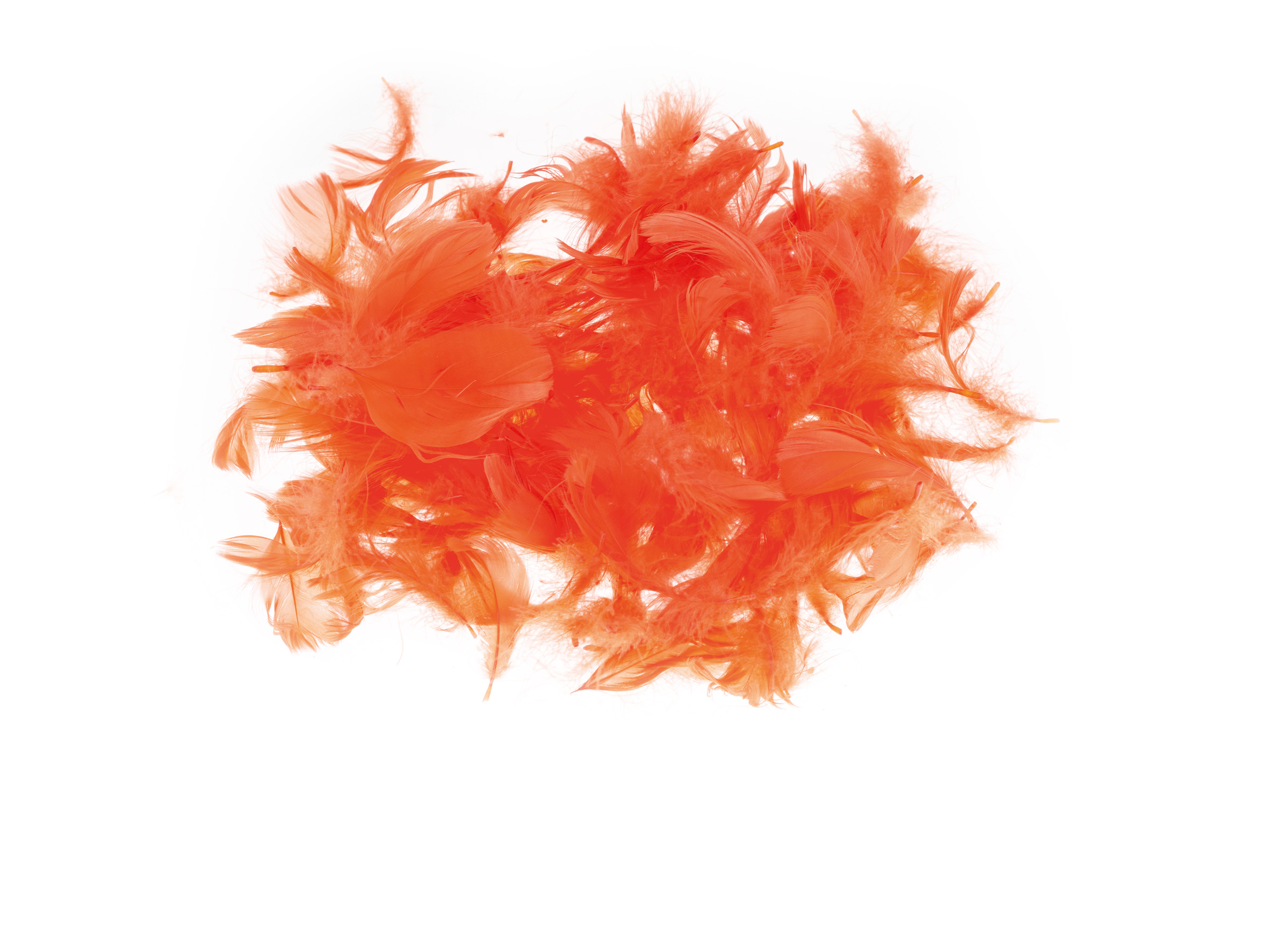 Piórka Brewis 7 g czerwone jasne | espryciarze.pl |Złap promocję!