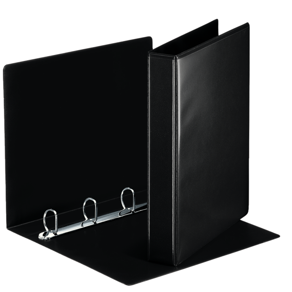 Segregator Esselte ofertowy panorama, ekonom. A4 4dr 30, grzbiet 51 mm, czarny | espryciarze.pl |Zgarnij ofertę!